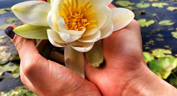 Experiențe de călătorie și retreat multisenzoriale în Deltă: Ayurveda, detox, smelling, aromaterapie, yoga și salsa