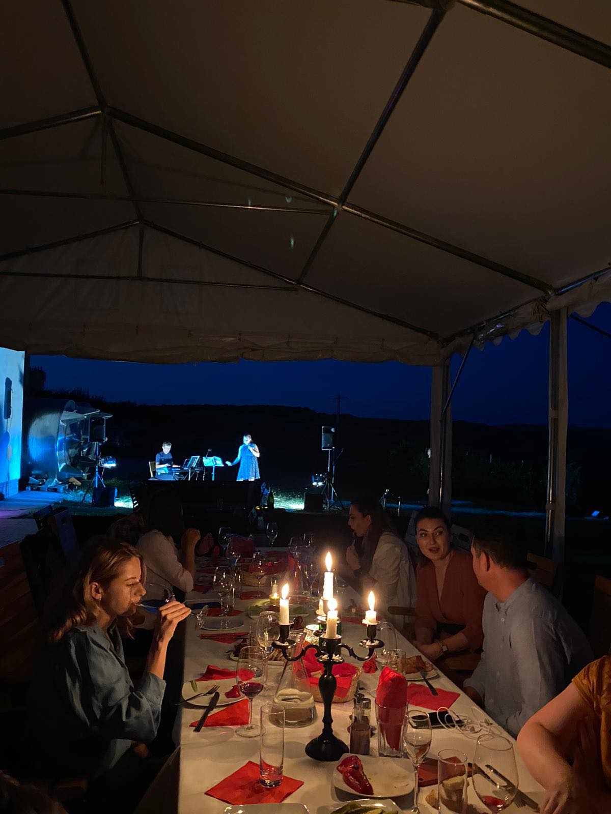 Seara la crama si concert Ana Maria Galea 