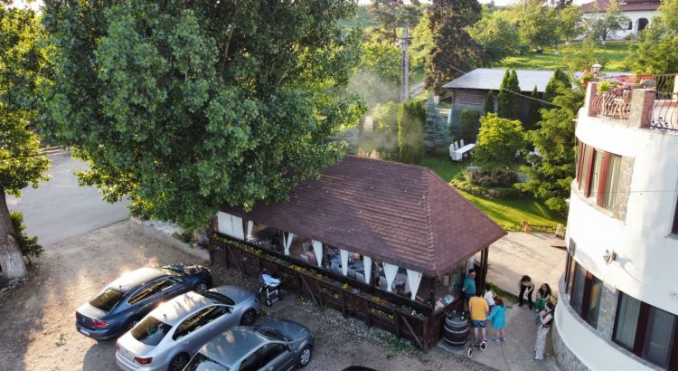 Arta și Vin la 1000 de Chipuri și Casa Colinelor – degustare de 7 vinuri, cină, party, atelier de pictura și alte surprize