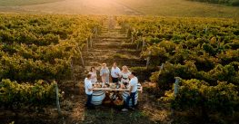 Noi descoperiri din Republica Moldova – vinurile Javgur, premiate la competiții internaționale