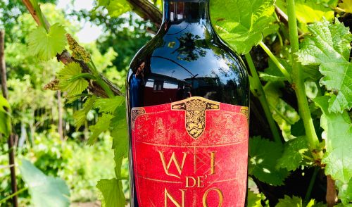 Un Saperavi de ținut minte – De’Wino Mukuzani, 2019 (Batono Wine) și câteva curiozități georgiene
