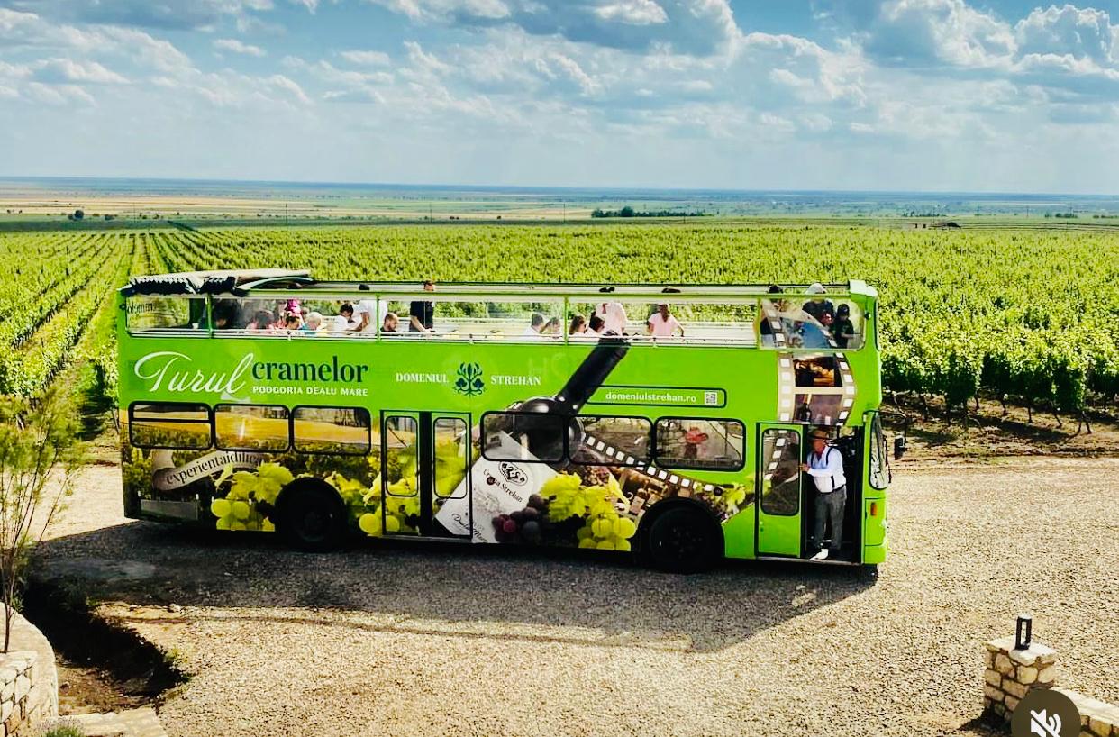 Cu Sightseen Bus în Dealu Mare – călătorii, vinuri și poveşti #TheJourneyOfDealuMareVineyard