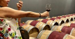 Tur dinamic cu vin biodinamic la Domeniul Bogdan